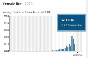 The lice count graph for Nordlaks' Ytre Hadseløya site, where the Havfarm is moored. Numbers peaked in week 46. Click on image to enlarge. The lice count graph for Nordlaks' Ytre Hadseløya site, where the Havfarm is moored. Numbers peaked in week 46. Click on image to enlarge.