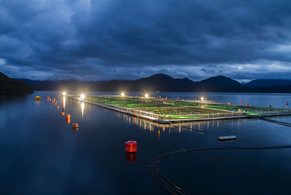 Illustrative photo of a Blumar salmon farm in Chile. A diver died at Blumar's Bahía León farm in Magallanes last week.