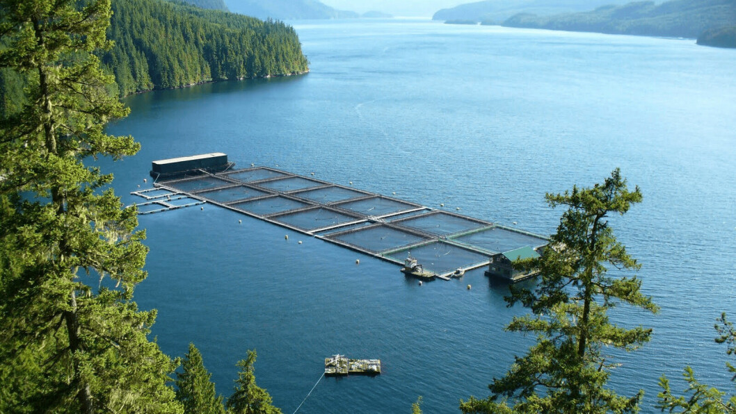 Illustrative photo of a salmon farm in Canada, the country where Innovasea's technology is being used first.