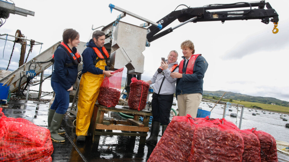 From left: Grainne Devine, BIM, Johnny and Hugh Wilhare, Mulroy Bay Mussels, and Arjan Gittenberger, GiMaRIS. Photo: BIM.