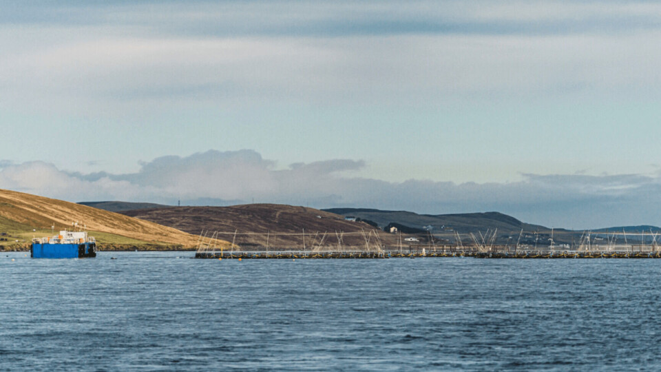 SSF's Holms Geo site in Shetland, where the company is trialling a feed barge powered by solar panels sited on land. Photo: SSF.