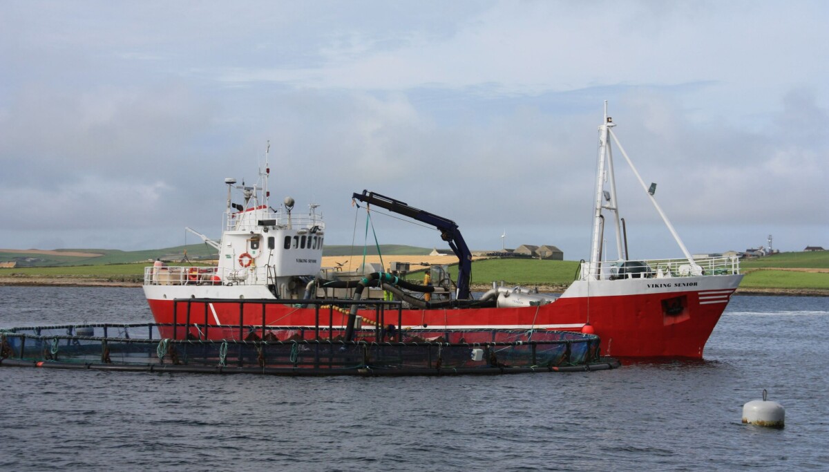 Farming trio up for export awards