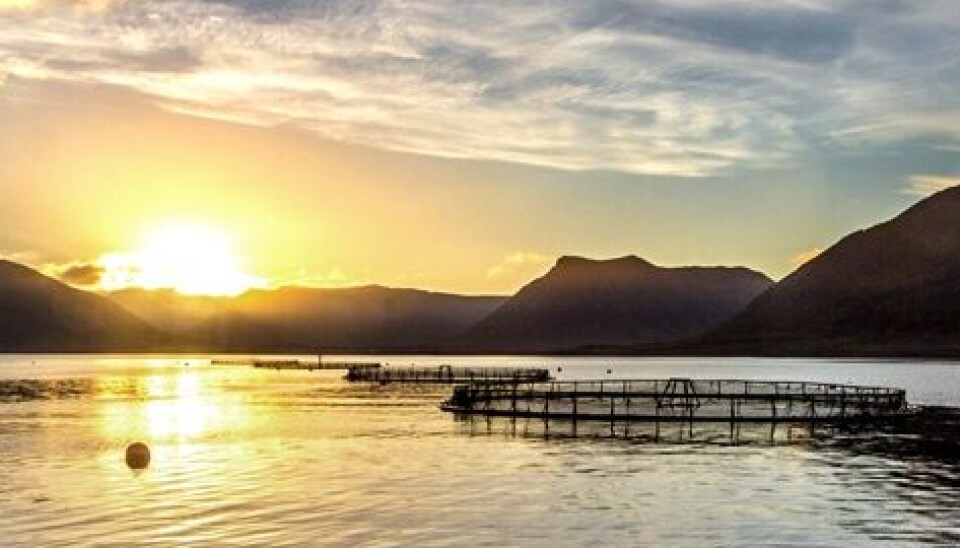 One of Arctic Fish's sites in the Westfjords region of Iceland, and inset, Stein Ove Tveiten.