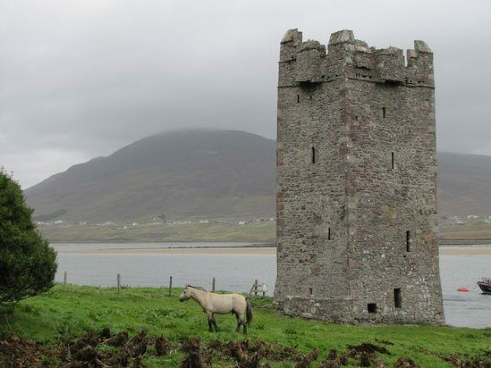 Ireland hosts top lice researchers