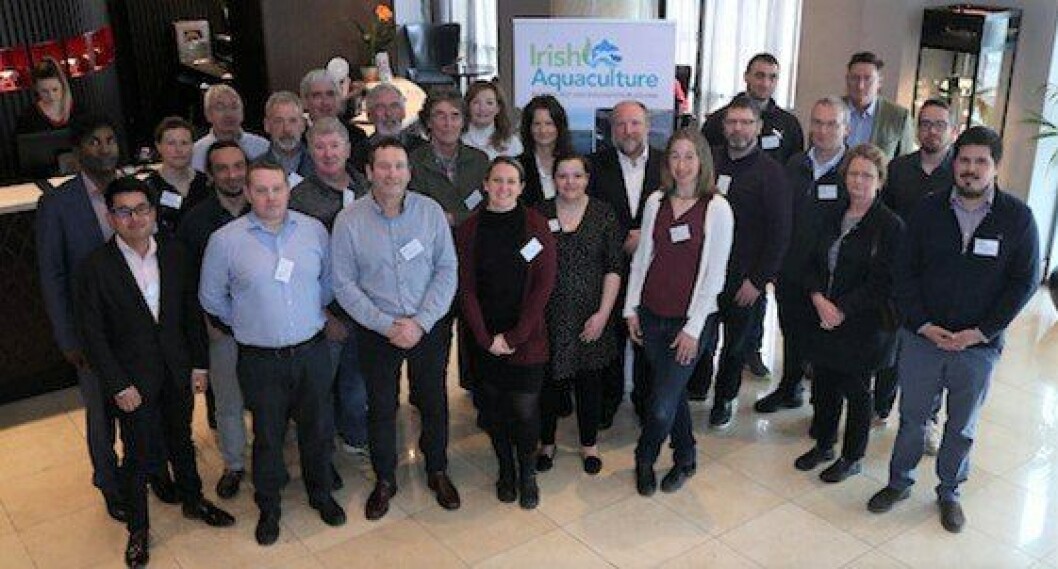 Some of the 35 delegates who attended the IATIP event in Dublin. Photo: BIM. Some of the 35 delegates who attended the IATIP event in Dublin. Photo: BIM.