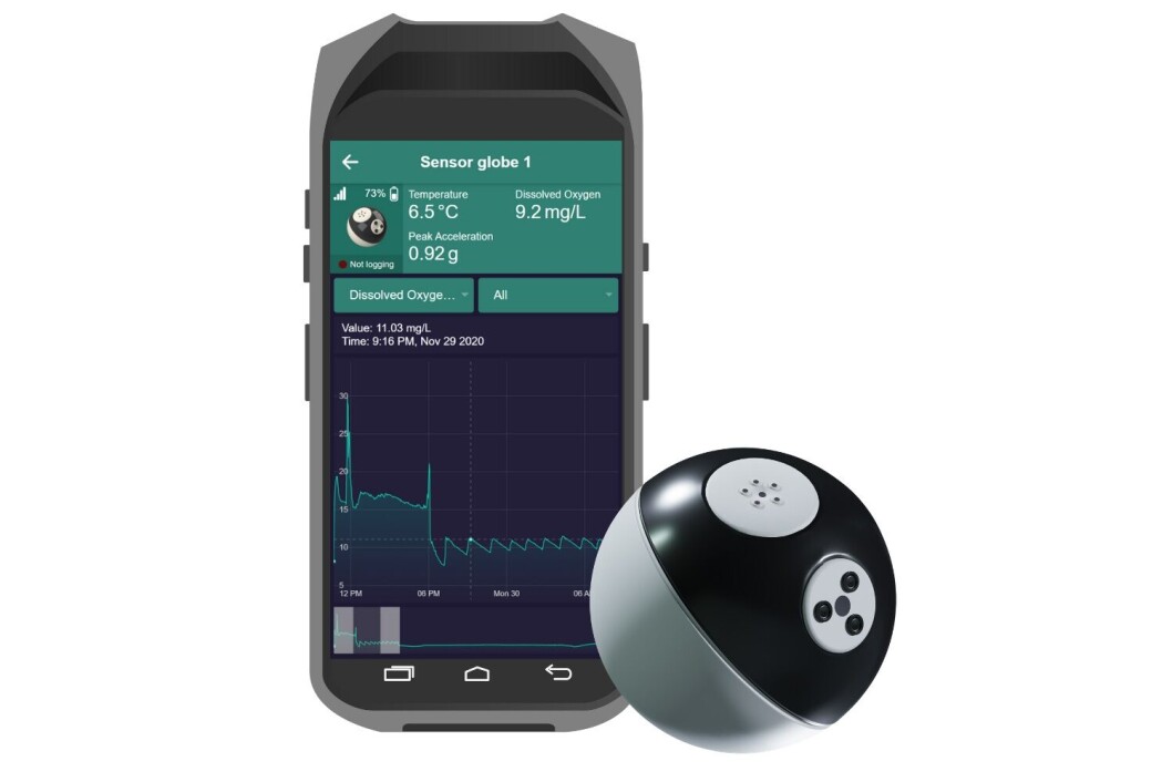 The Sensor Globe transmits real time data to a user interface. Illustration: Sensor Globe. The Sensor Globe transmits real time data to a user interface. Illustration: Sensor Globe.