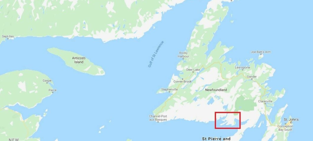 ISAv confirmed at fourth Cooke farm in Newfoundland