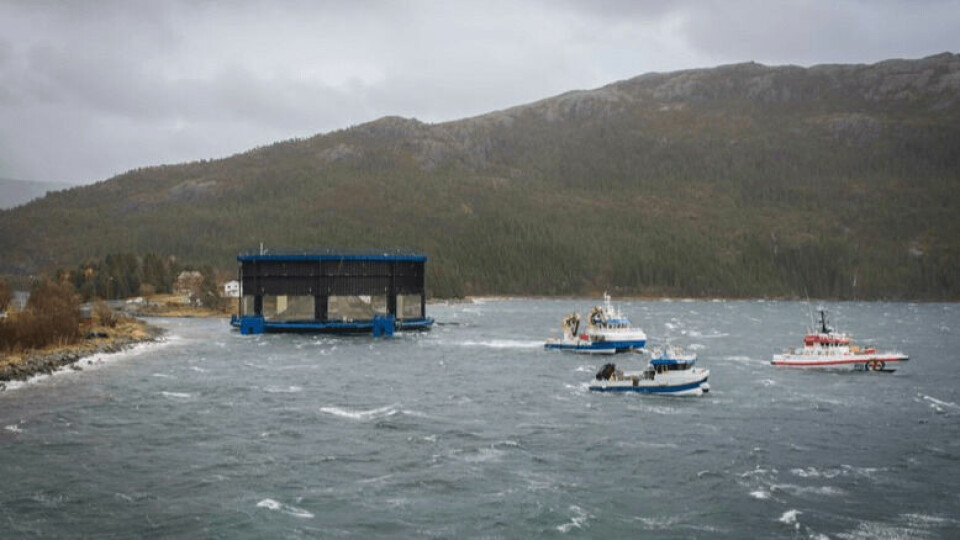 The Aquatraz cage is towed back into the fjord after being blown ashore. Photo: Lena Erikke Hatland (with permission)