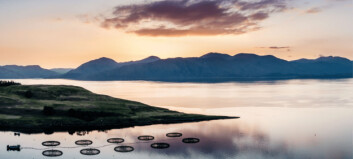 Scotland launches ‘rapid response’ grants for aquaculture innovators
