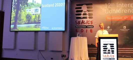 Scotland wins vote to host Sea Lice 2020