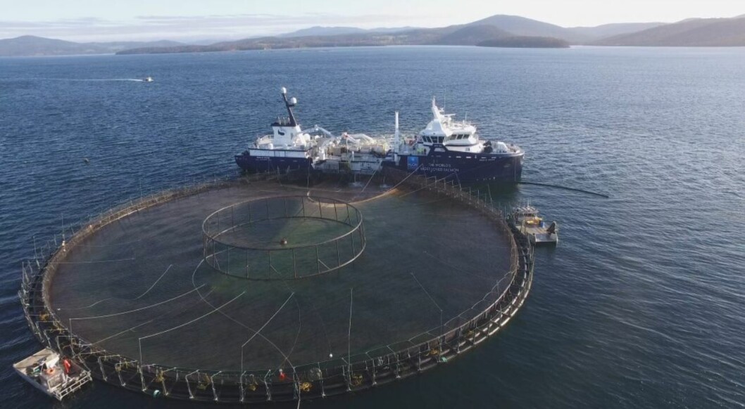 Huon has reduced its earnings forecast by as much as Australian $18m. Photo: Huon. Huon has reduced its earnings forecast by as much as Australian $18m. Photo: Huon.