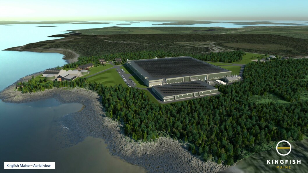 Illustration of the planned Kingfish Maine RAS facility which will produce 8,500 tonnes of yellowtail annually.