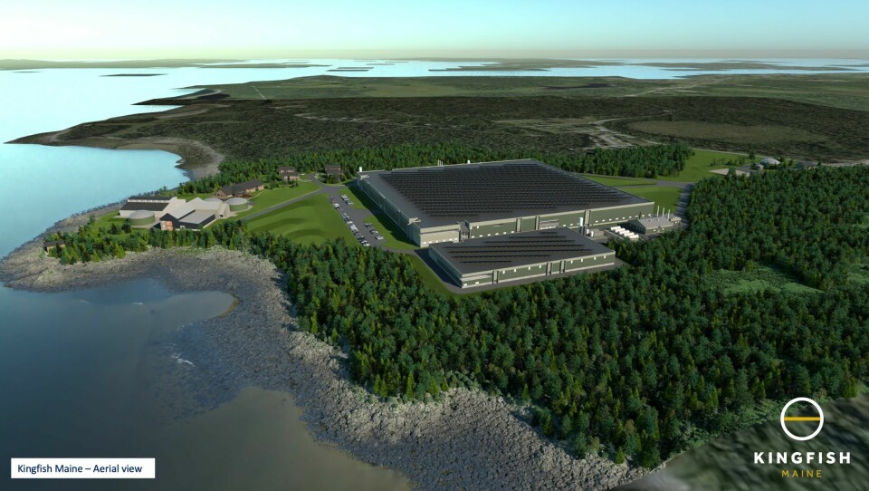 An illustration of the planned Kingfish Maine facility. Work is expected to start on the site within weeks. Image: The Kingfish Company.