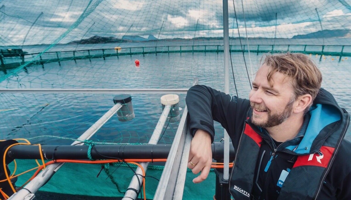 Blockchain Fish Farming Kvarøy fastens its fish to the blockchain to beat fraud