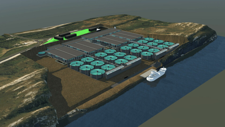 A rendering of the Arctic Seafarm flow-through facility which will produce 15,000 tonnes of salmon annually. Image: Kvarøy Fiskeoppdrett.