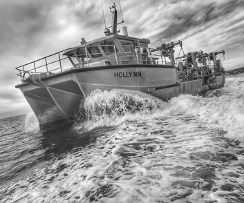 A new boat, the Holly Mai, has increased harvesting capacity. Photo: Offshore Shellfish Ltd / Instagram