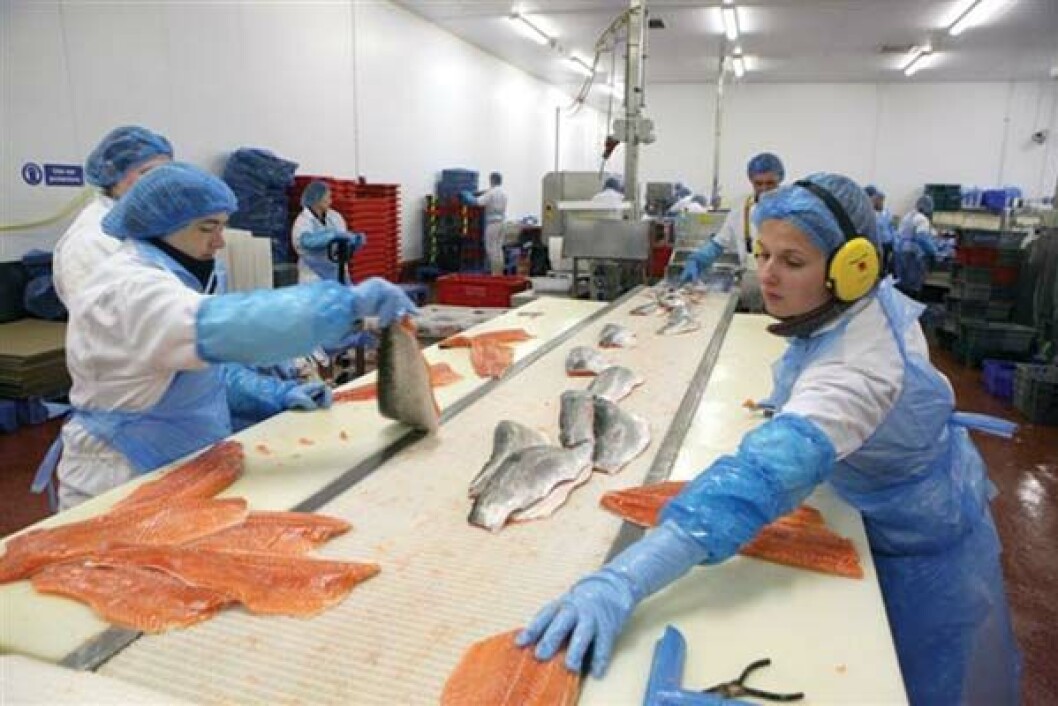 Inside a Dawnfresh processing plant before Covid. The company overhauled its business to deal with the virus. Inside a Dawnfresh processing plant before Covid. The company overhauled its business to deal with the virus.