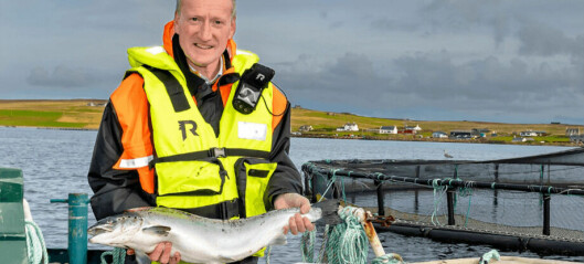Scottish seafood exports worth 16% more last year