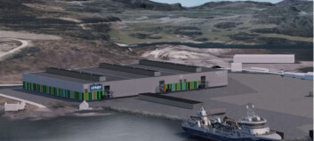 Lerøy includes full grow-out option in post-smolt plan