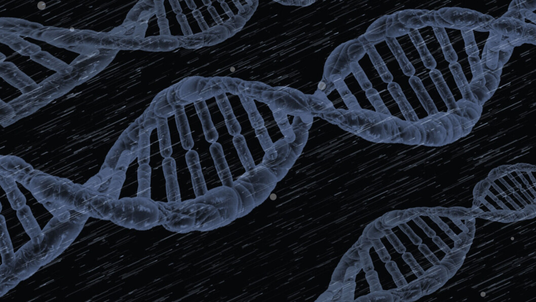 MSD Animal Health is applying DNA sequencing to offer more accurate assessments of fish stocks. Image: Pixabay. MSD Animal Health is applying DNA sequencing to offer more accurate assessments of fish stocks. Image: Pixabay.
