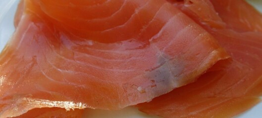 Tasmanian salmon under microscope after Australian listeria deaths