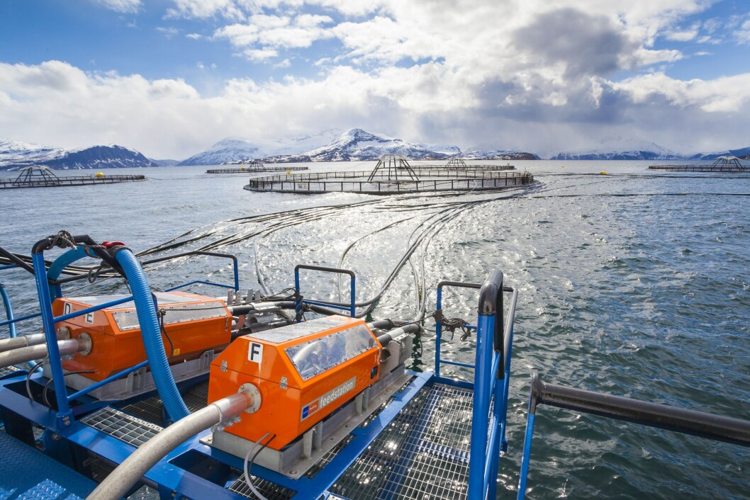 One tonne of AlgaPrime DHA is the equivalent of saving up to 40 tonnes of wild-caught fish on a DHA basis. One tonne of AlgaPrime DHA is the equivalent of saving up to 40 tonnes of wild-caught fish on a DHA basis.