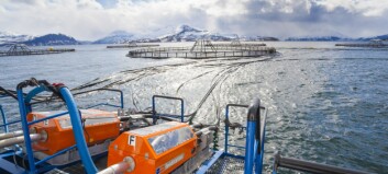 Lerøy unveils microalgae feed deal with BioMar