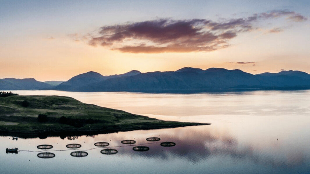 An aerial view of a salmon farm by Appin in the west Highlands. Photo: SAIC.