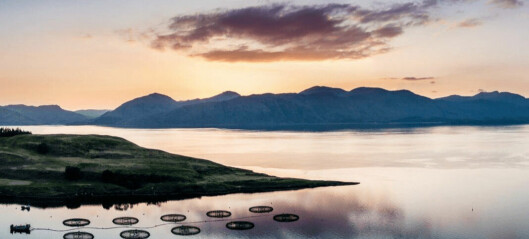 Salmon farmers Zoom in on Scottish growth potential