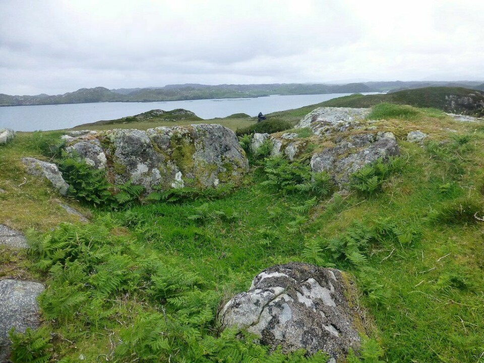 An outbreak of Pasteurella skyensis has killed 125,000 salmon at Marine Harvest's North Shore sites at Loch Erisort, Isle of Lewis. Photo: Google
