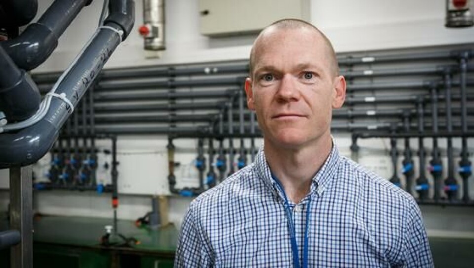 Kevin Glover, project manager for the study, which shows that lice can develop tolerance to freshwater and heat treatment. Photo: Erlend Astad Lorentzen / IMR.