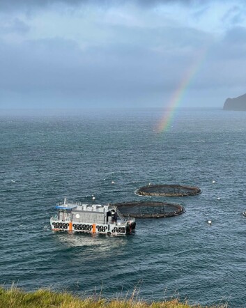 Kames' new barge has been built to withstand rough weather at the Loch Pooltiel farm, which is in an exposed location. Click on image to enlarge. Photo: Kames. Kames' new barge has been built to withstand rough weather at the Loch Pooltiel farm, which is in an exposed location. Click on image to enlarge. Photo: Kames.