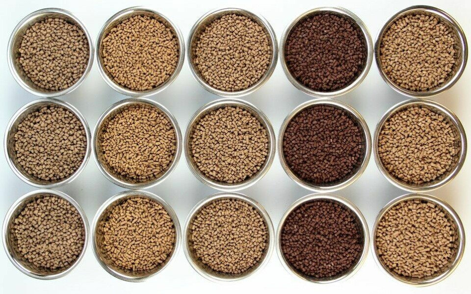 Aller Aqua has launched a new range of feeds designed specifically for RAS production. Photo: Aller Aqua.