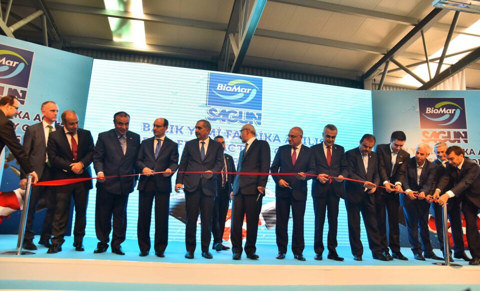 Lift-off for Turkish mill