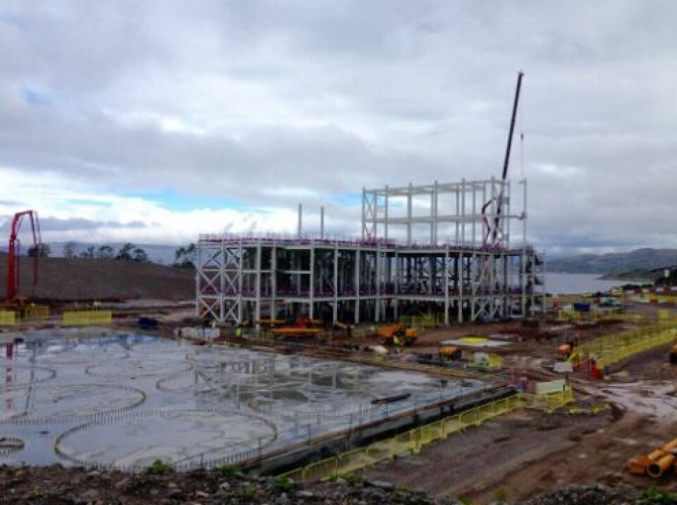 The steel framework is taking shape for Marine Harvest's feed factory at Kyleakin on Skye. Photo: Marine Harvest