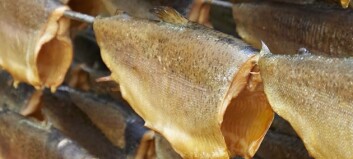 Feed producer Aller Aqua buys trout fillet supplier Danforel