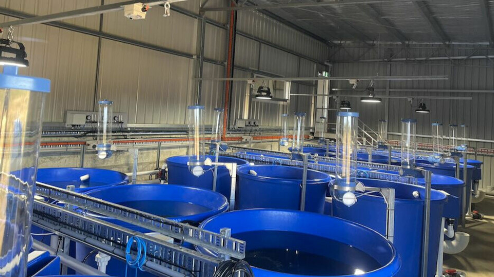 The Cressy feed trial facility has 18 flow-through tanks. Photo: Fresh by Design.