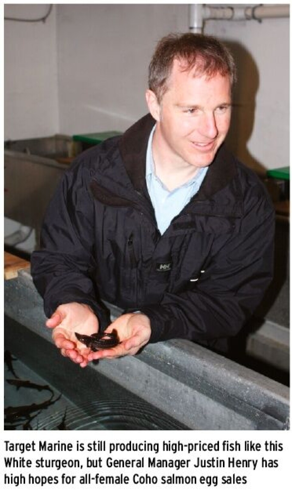 Few Pacific Salmon being farmed in Canada