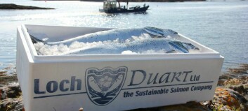 Former Edinburgh Salmon Company owner named new Loch Duart chair