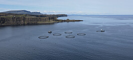 First feed barge delivered to Skye organic salmon farmer