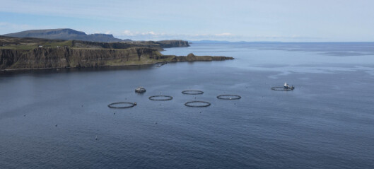 First feed barge delivered to Skye organic salmon farmer