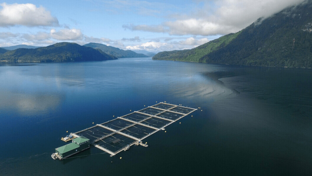 Mowi's Phillips Arm farm is one of 19 scheduled to be phased out by June 2022. Photo: Mowi. Mowi's Phillips Arm farm is one of 19 scheduled to be phased out by June 2022. Photo: Mowi.