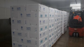 Pallets of Mowi Scotland's organic salmon leaving the Blat Mhor pocessing site. Click on image to enlarge. Photo: Mowi. Pallets of Mowi Scotland's organic salmon leaving the Blat Mhor pocessing site. Click on image to enlarge. Photo: Mowi.