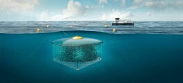 Subsea farming project scaled down