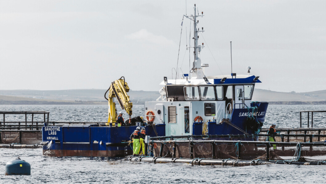 Cages and a workboat at the SSF site at Westerbister, Orkney. The company is to spend more than £3m to equip its new Orkney site at Scapa Flow. Photo: SSF.