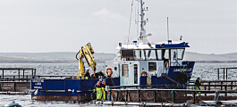 Scottish Sea Farms dropped from US legal action