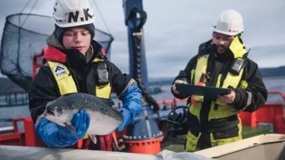 Cermaq has reported better fish health in all the regions it farms in. Photo: Cermaq