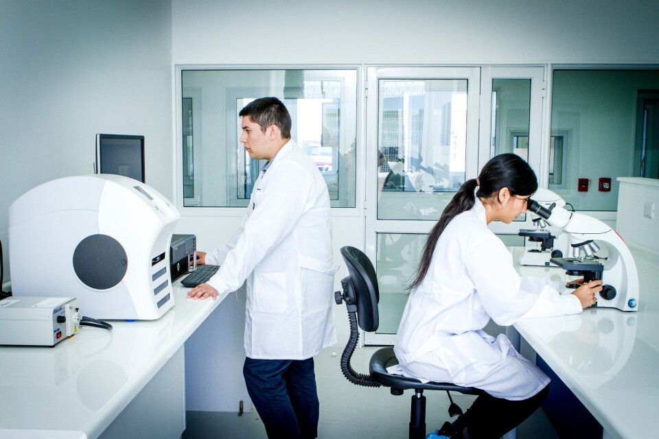 Fish Vet Group has won accreditation from Sernapesca.