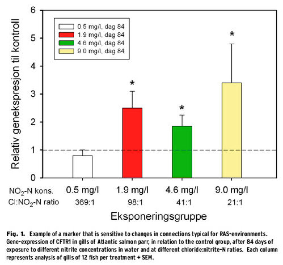 Fish welfare and –performance in recirculation plants