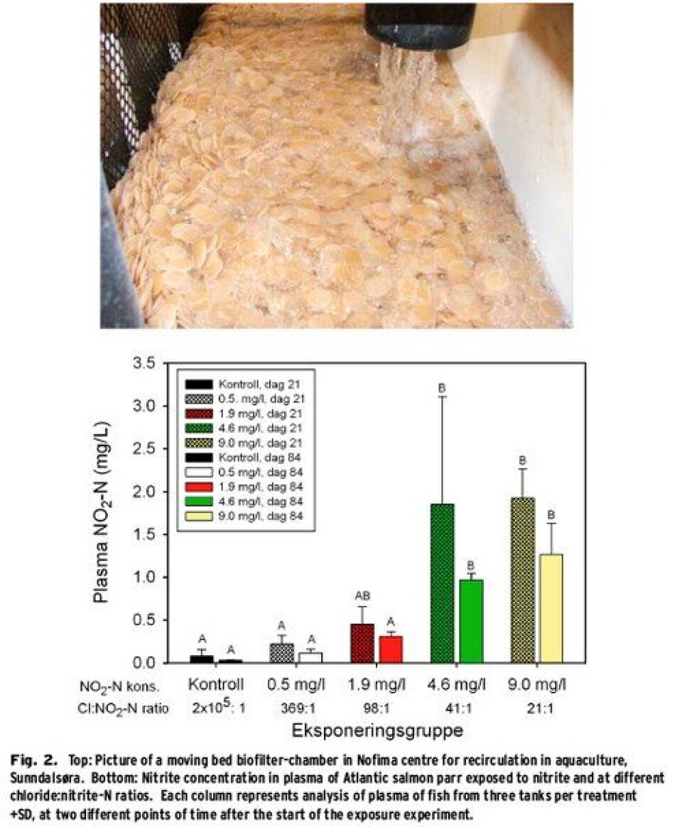 Fish welfare and –performance in recirculation plants